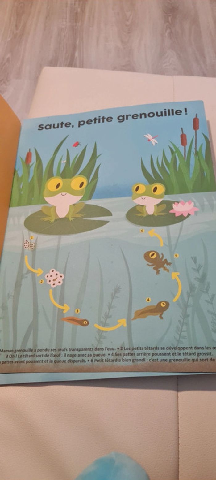 Poster apprentissage enfant 3 ans - photo numéro 5