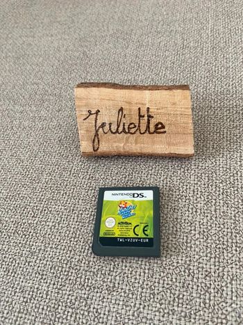 Jeu Vidéo Nintendo DS "Zhu Zhu Pets 2 : Animaux de la Forêt" Très bon état (sans boîte)
