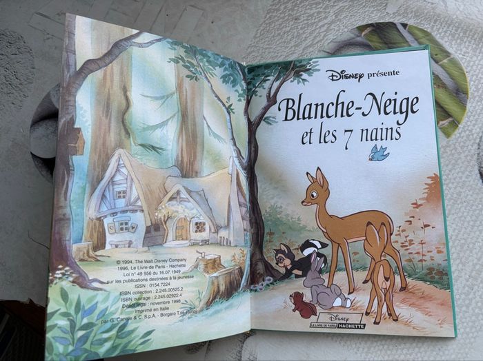 Livre Disney - photo numéro 2