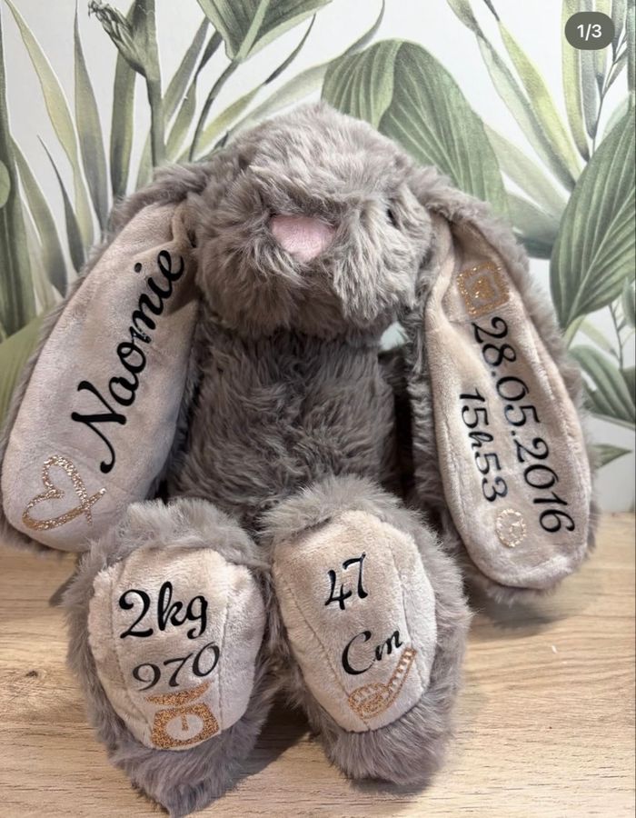 Lapin personnalisé - photo numéro 4