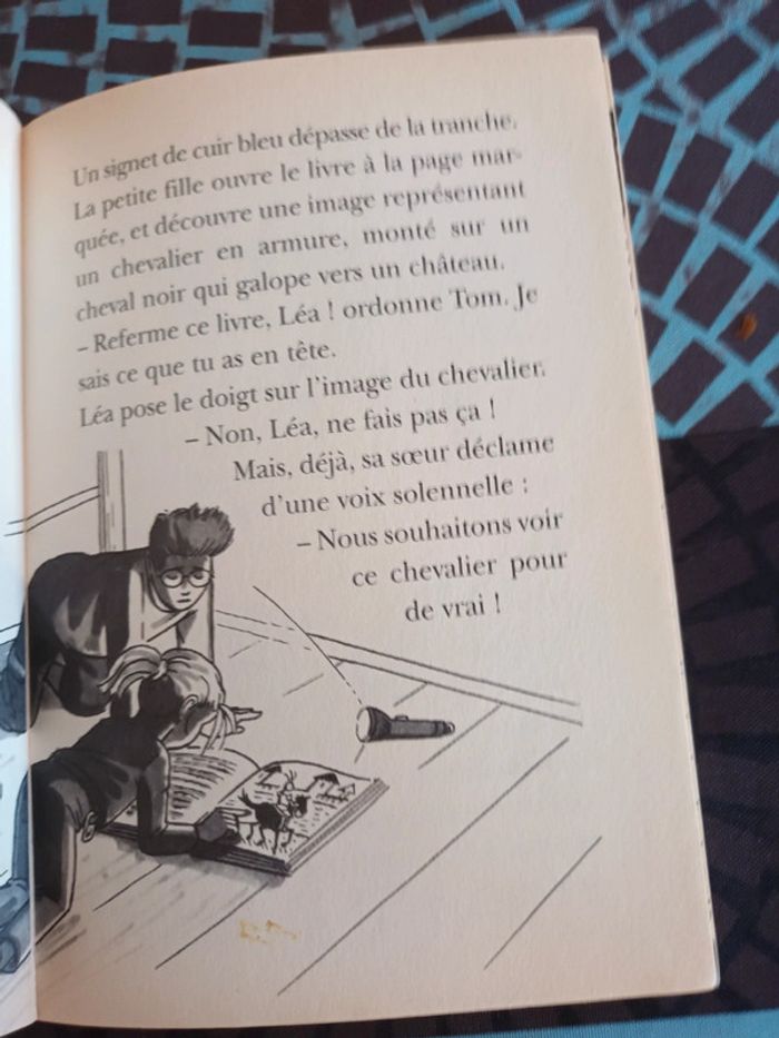 Livre le mystérieux chevalier - photo numéro 2