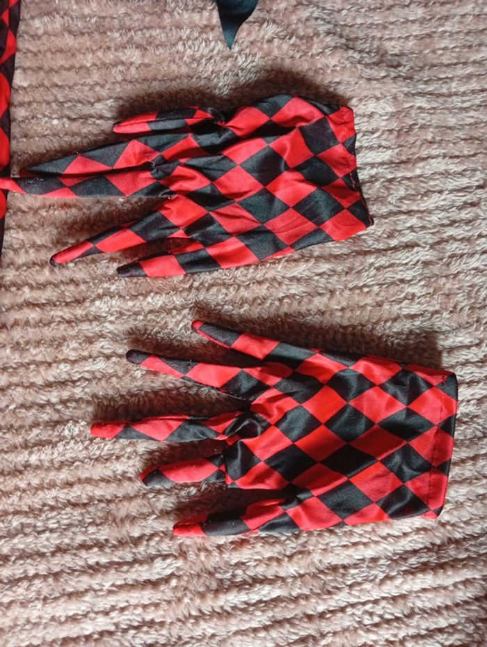 Déguisement arlequin - photo numéro 2