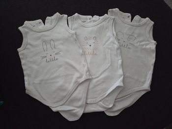 Lot 3 bodies sans manche