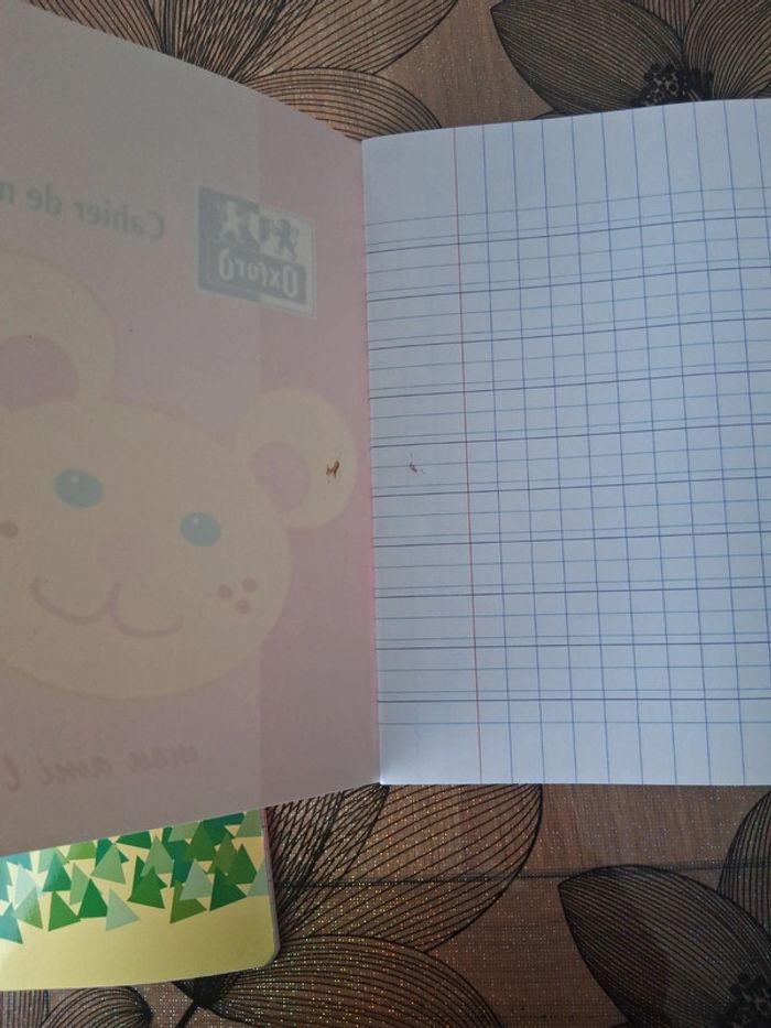 2 cahiers maternelle 32 pages d'écriture neuf - photo numéro 4