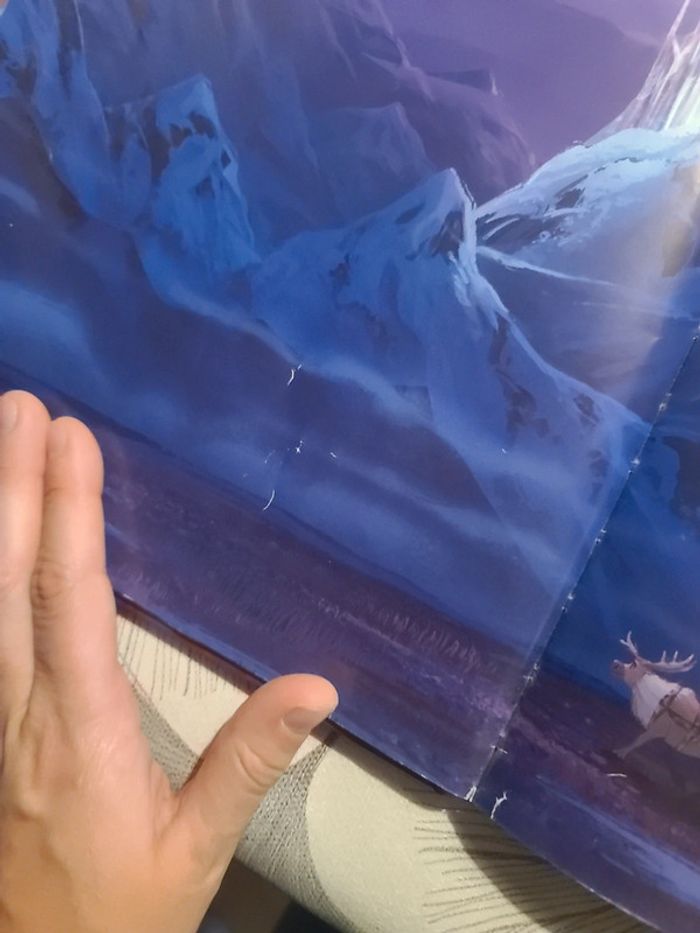 Livre la reine des neiges 2 - photo numéro 5