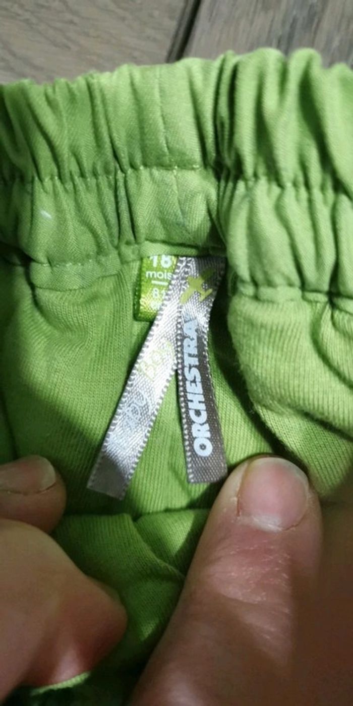 Jogging doublé Orchestra vert - photo numéro 4