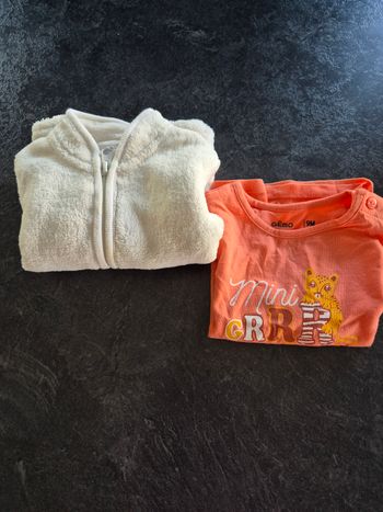 1 tee-shirt et 1 gilet