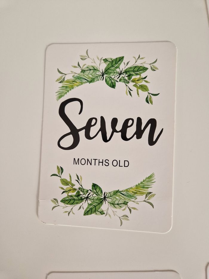 Lot des 12 cartes première année naissance bébé - photo numéro 8