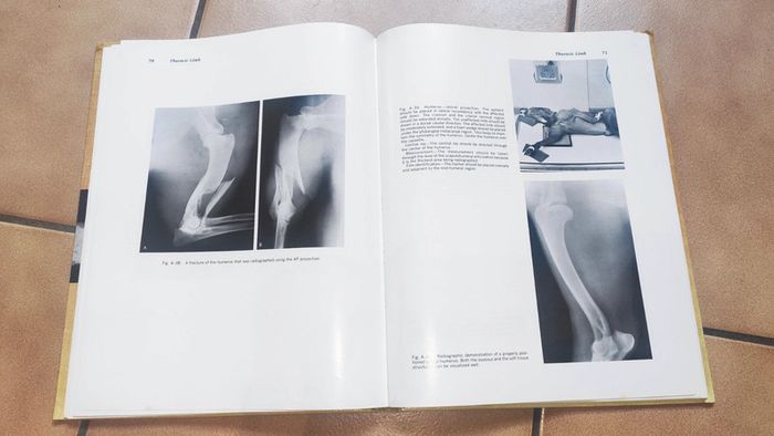 Radiographic positioning of small animals - photo numéro 4