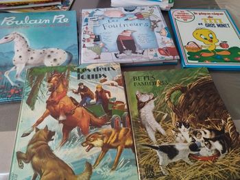 5 livres pour enfants à devorer