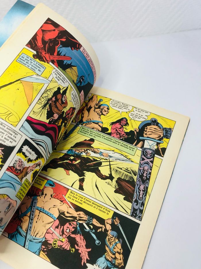 Arak fils de la foudre la sorcière de l’Orient DC comics - photo numéro 3