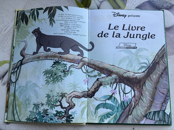 Livre Disney - photo numéro 2
