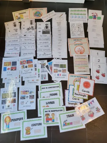 Gros lot d'affiches pédagogiques pour classes de primaires