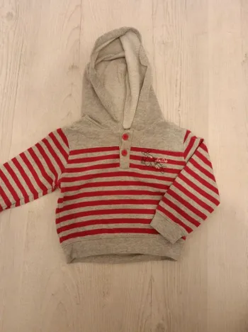 Pull sweat à capuche 24 mois
