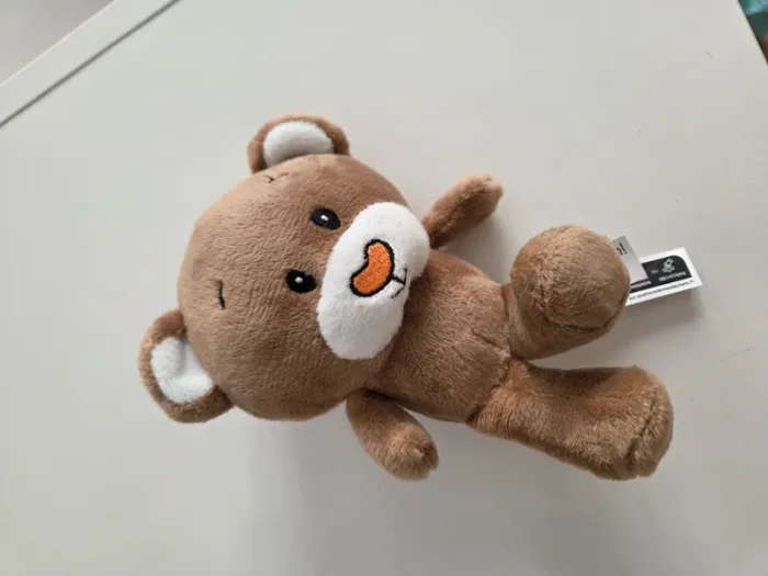 Ourson peluche