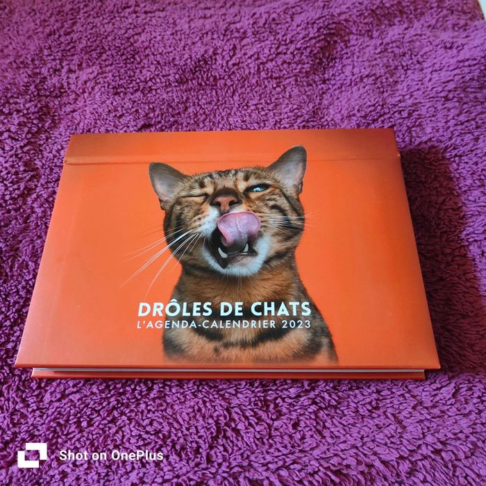 Drôles de chats agenda-calendrier 2023 - photo numéro 2