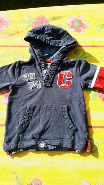 Sweat à capuche Creeks