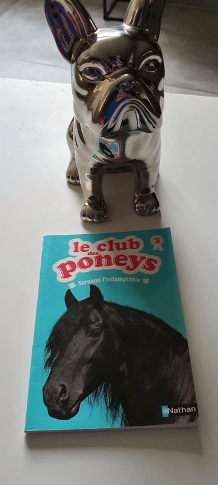Livre enfant le club des poneys tornado l'indomptable
