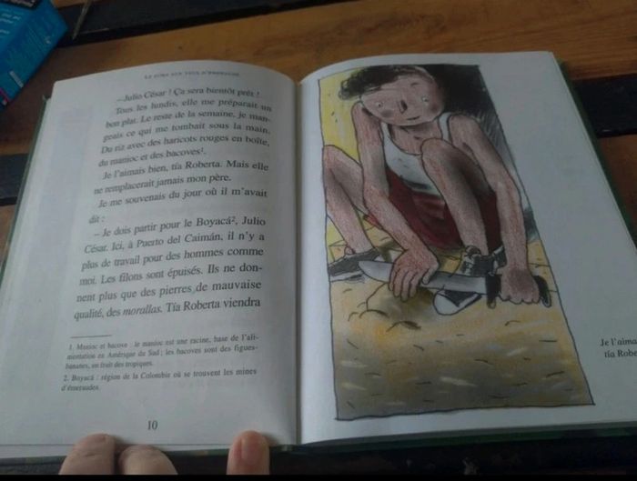 Le puma aux yeux d'émeraude - photo numéro 3