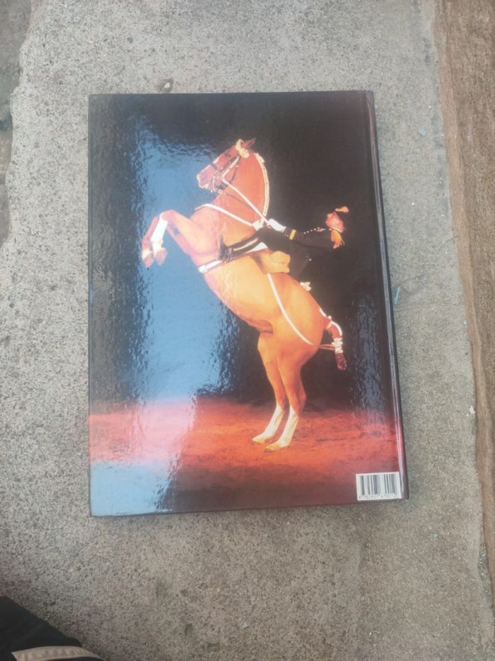 Livre la splendeurs du cheval - photo numéro 15