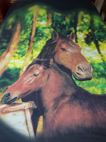 Parure housse de couette 220x240 