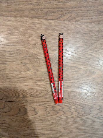 Lot de 2 stylos 🐞