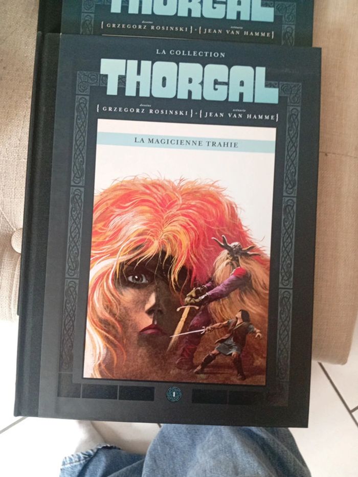 Thorgal BD - photo numéro 2