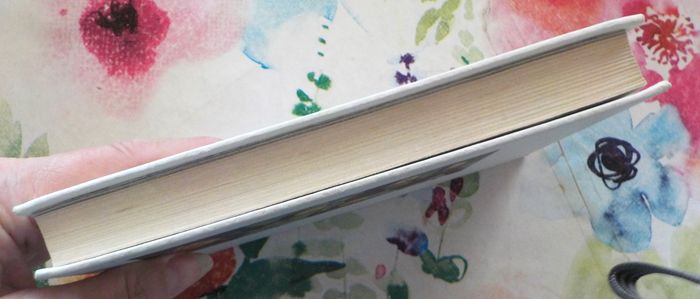 MORT EN FRAUDE de Jean HOUGRON Ed. Le Club du Bibliophile - photo numéro 4