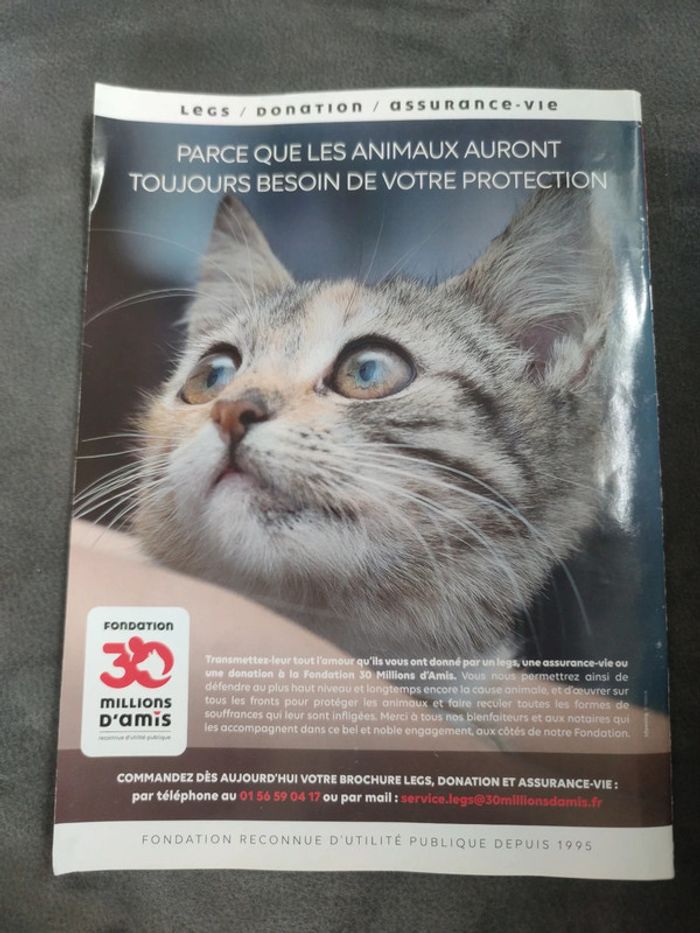 Magazine 30 millions d'amis numéro 378 novembre 2019 - photo numéro 2