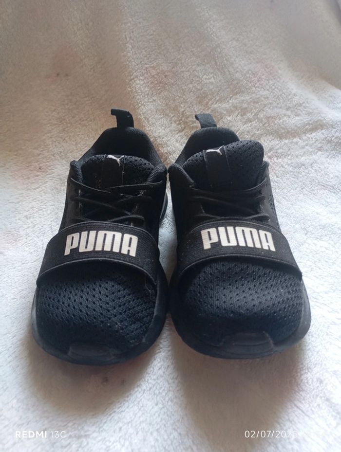 Basket puma