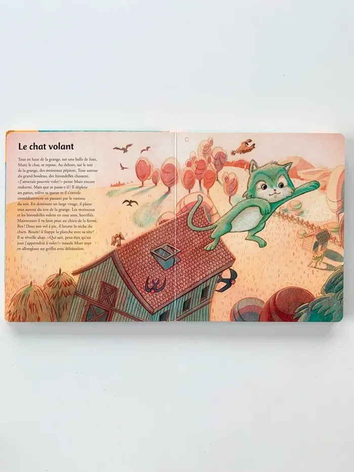 Livre 📖 Histoires pour faire de beaux rêves - photo numéro 4