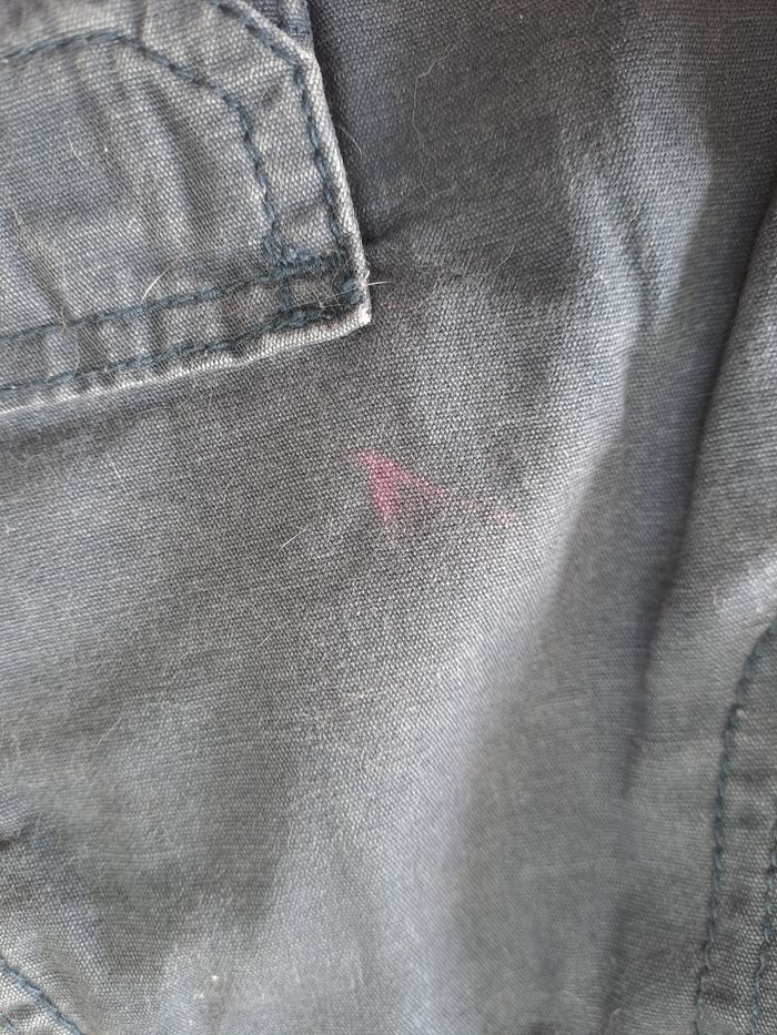 Bermuda 6 ans - photo numéro 6