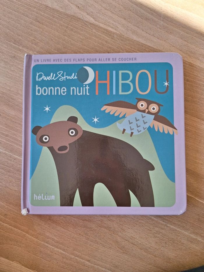 Livre enfant bonne nuit hibou hélium