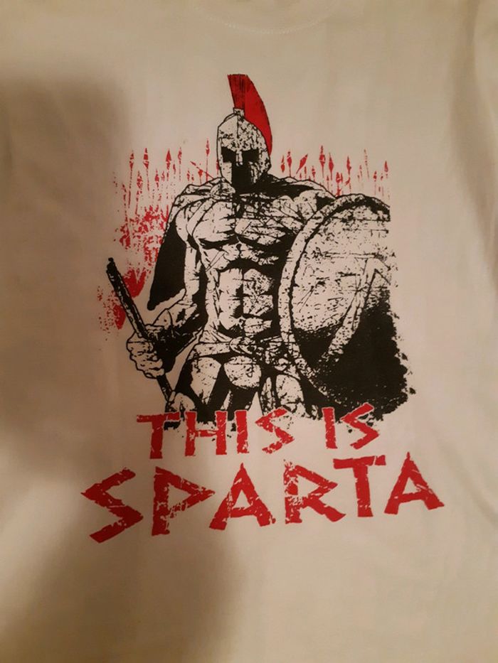 Lot 4 tee-shirts manches courtes 10 ans - photo numéro 14