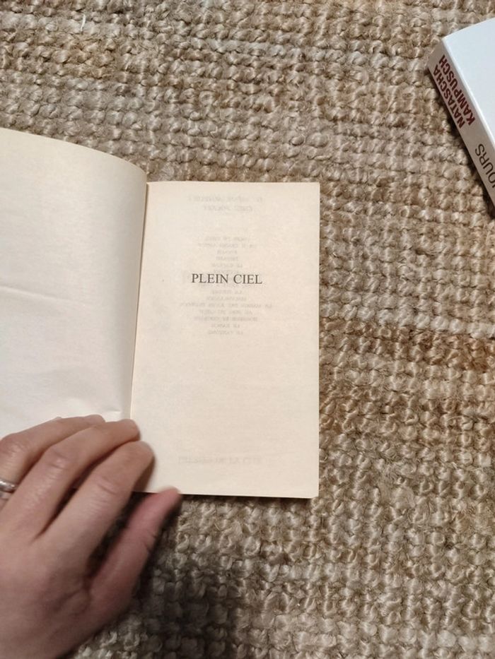 Plein ciel Danielle Steel - photo numéro 8