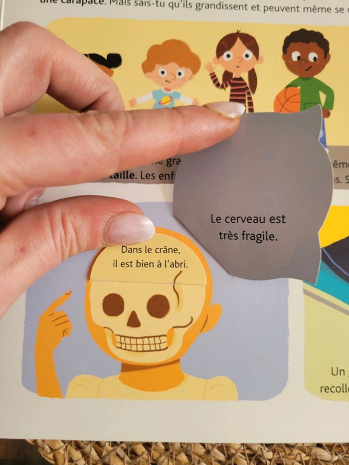 Le corps humain. Livré animé - photo numéro 8
