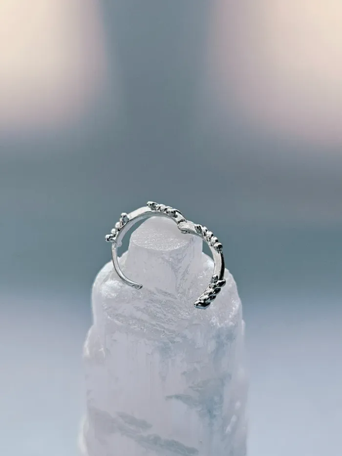 Paire Boucles d’oreilles acier inoxydable anneaux épineux - photo numéro 5