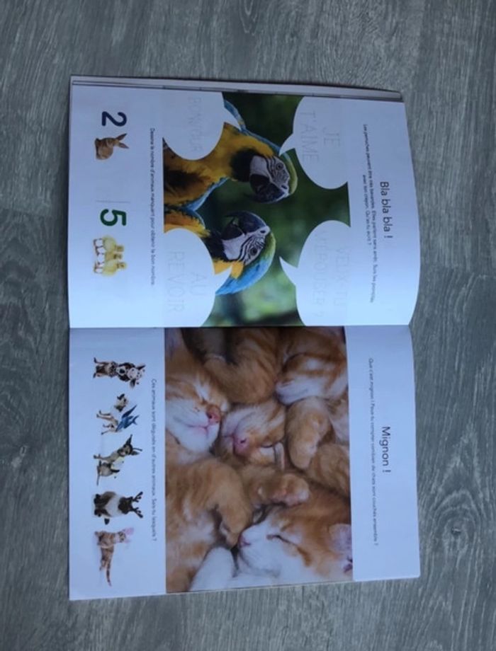 Joue et apprends avec d’adorables animaux - photo numéro 3
