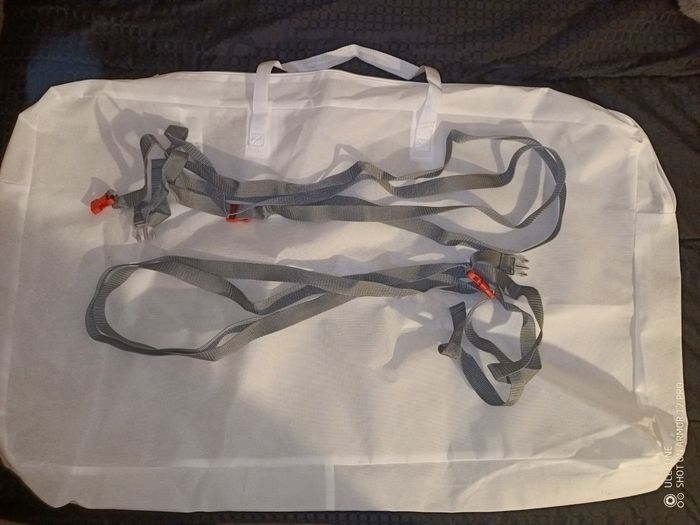 Cododo chicco - photo numéro 8