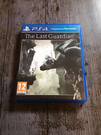 The Last Guardian Jeu PS4 Sony