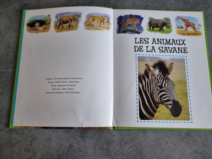 Les animaux de la savane - photo numéro 2