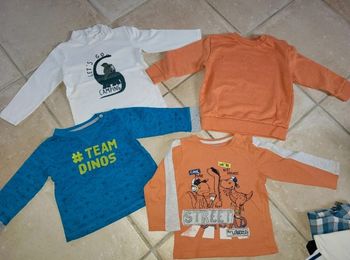 Lot 4 tee-shirt garçons dinosaure 18 mois