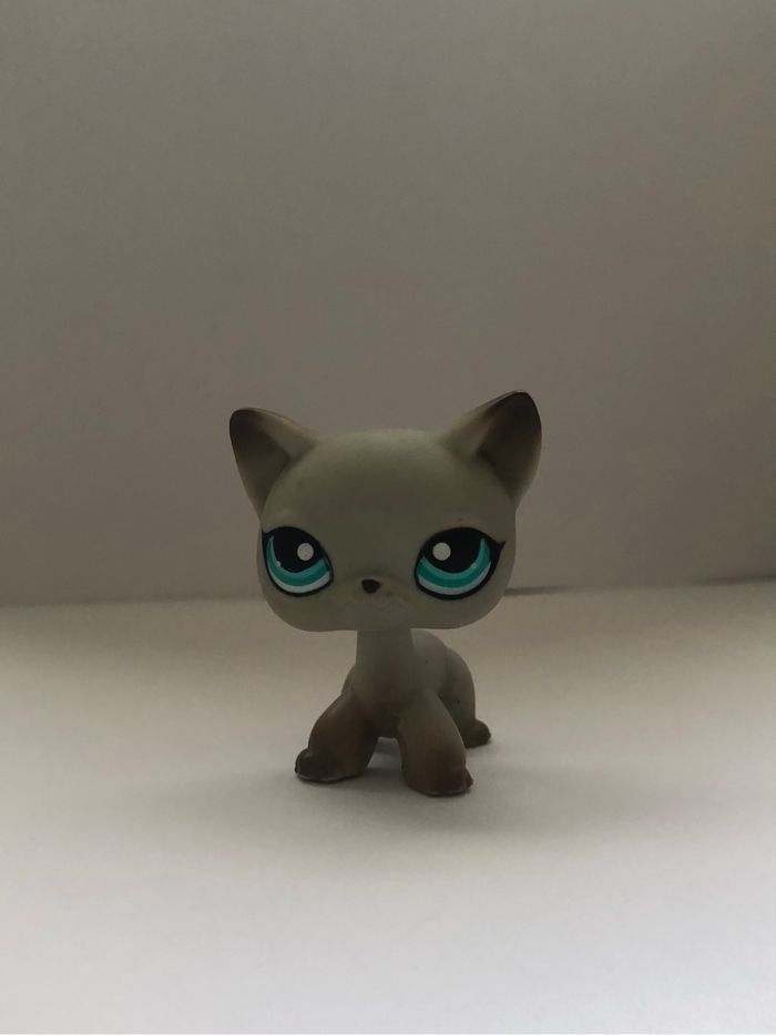 Pet shop : chat égyptien #391 - photo numéro 3