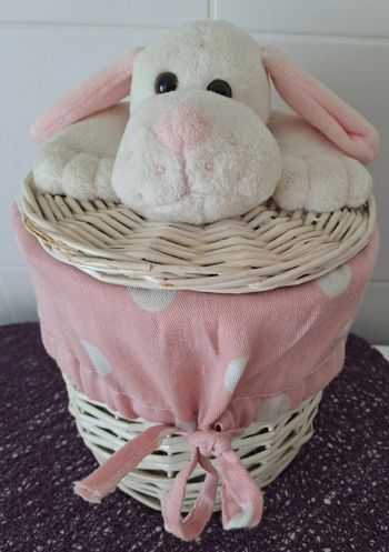 Corbeille en osier blanche avec doublure et peluche chien 
