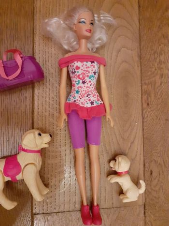 🎀 Promenade des chiens Barbie