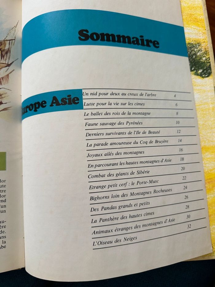 Livre encyclopédie rare Faune des Montagnes du Monde collection univers Robert Dallet Lito Paris - photo numéro 9