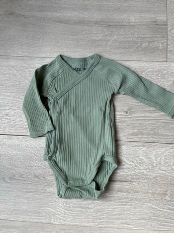 Bodie vert 3 mois