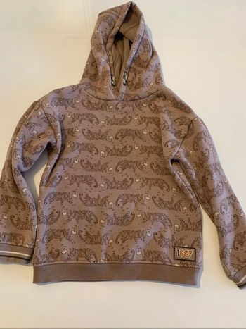 Sweat capuche