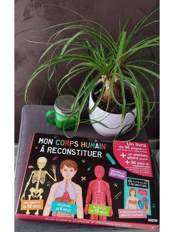 Mon corps humain à reconstituer Auzou