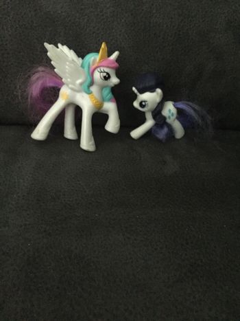 Petit poney